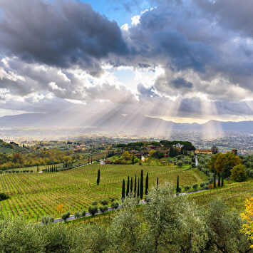 La Toscana en invierno: una pequeña ruta con paisajes increíbles, mucha gastronomía y un palacio