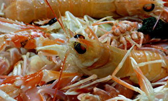 Las cabezas de cigala contienen una alta concentración de cadmio |  Flickr/CC/juantiagues