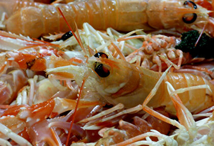 Las cabezas de cigala contienen una alta concentración de cadmio |  Flickr/CC/juantiagues