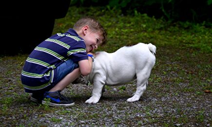 No se debe dejar nunca solos a los niños y a los perros. |  Pixabay