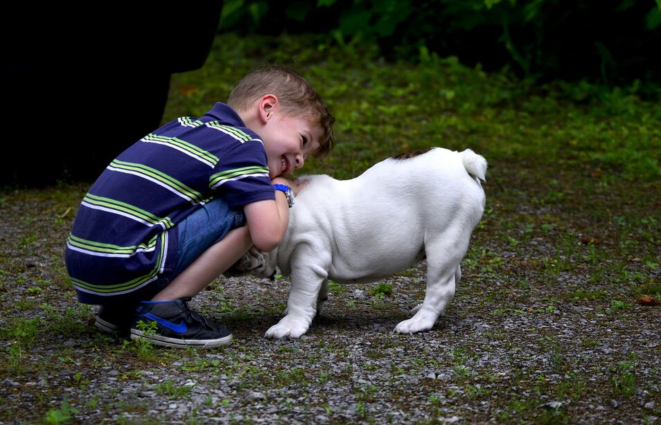 Perros y niños: cuatro normas de convivencia Perro-nino