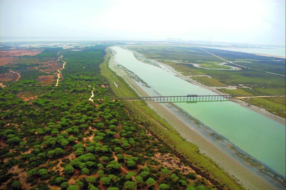 Andalucía, un paraíso de parques naturales para disfrutar en familia Parques-junta3