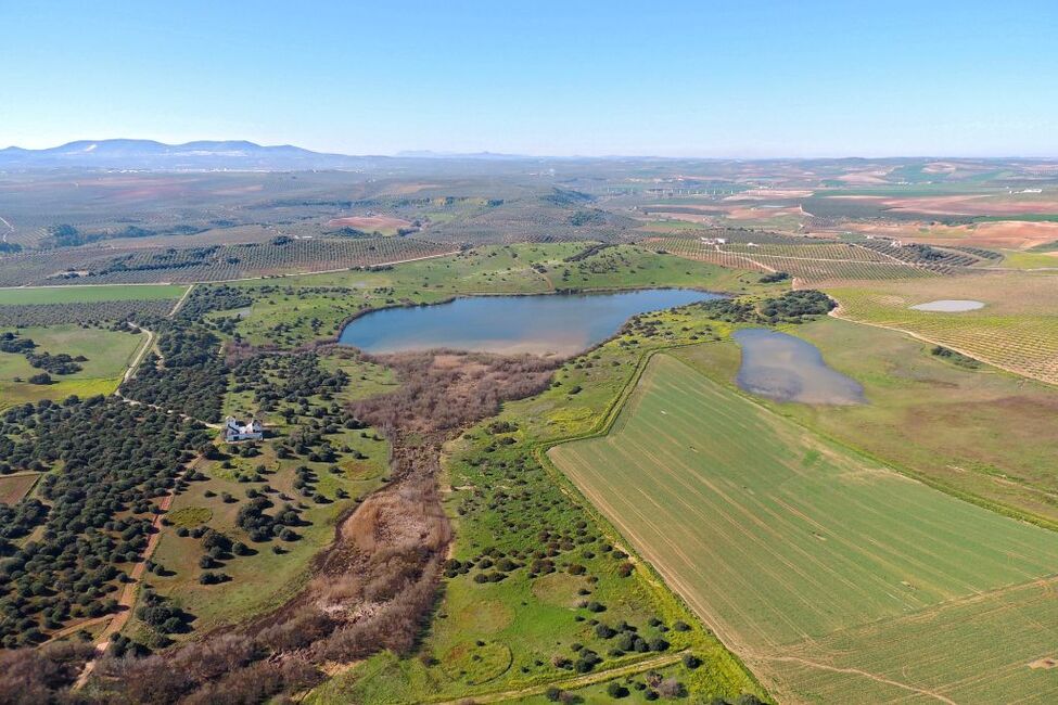 Andalucía, un paraíso de parques naturales para disfrutar en familia Parques-junta5