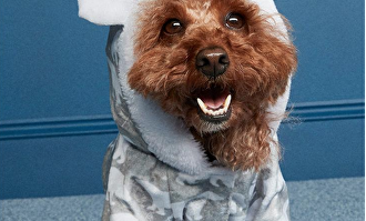 Uno de sus productos |  Primark