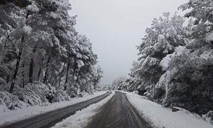 Imagen de una carretera nevada en Jávea (Alicante). |  Ayuntamiento de Jávea