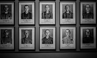 Series: El Holocausto	