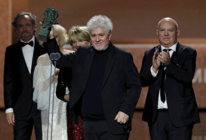 El director Pedro Almodóvar celebra su Premio Goya | EFE / Archivo