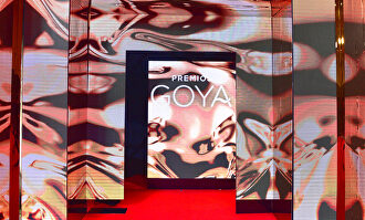  David Alonso Rincón