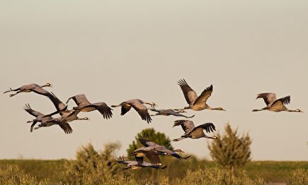 Extremadura, tan bella como sufrida