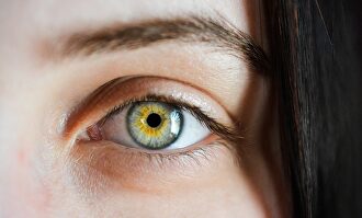 Cómo cuidar los ojos y prevenir enfermedades oculares