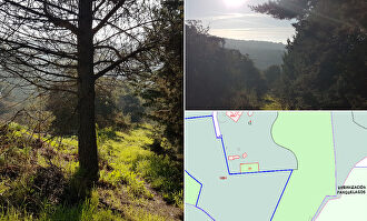 Libertad Digital |  Libertad Digital