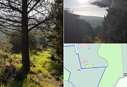 Libertad Digital |  Libertad Digital