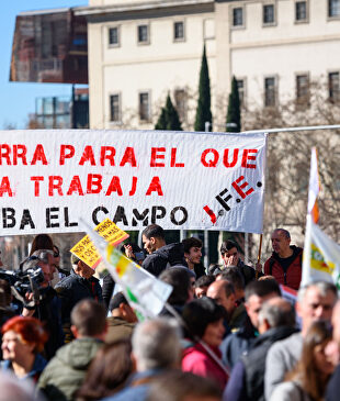  David Alonso Rincón