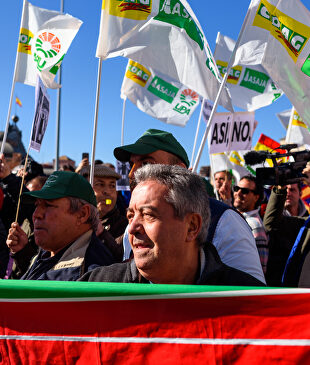  David Alonso Rincón