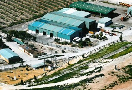 Consorcio de Estepa |  consorestepa.com