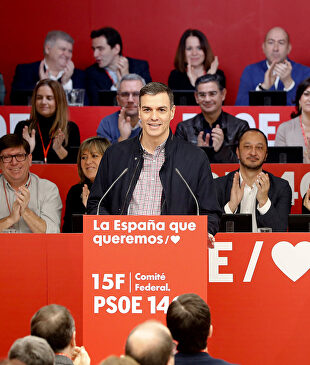 Pedro Sánchez en su intervención frente al Consejo Federal del PSOE. |  EFE