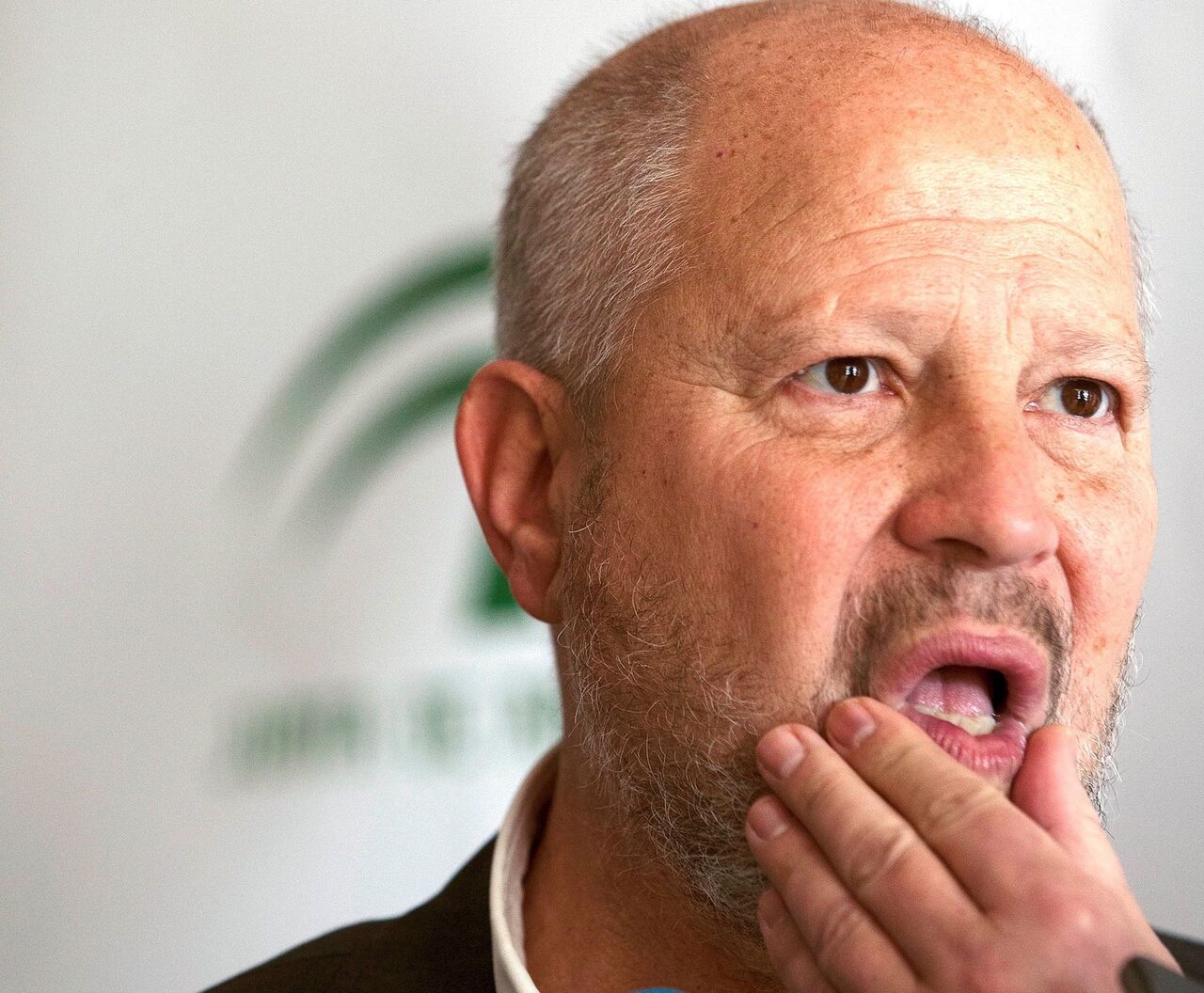 El consejero de Educación andaluz, Javier Imbroda |  EFE