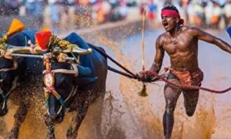 El indio que pone contra las cuerdas el récord de Bolt: ¡9,55 en 100 metros en una carrera de búfalos!