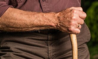 El Gobierno cederá ante el PNV |  Pixabay/CC/stevepb