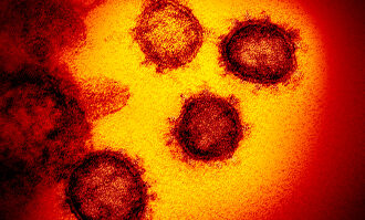 Una imagen del coronavirus. |  EFE