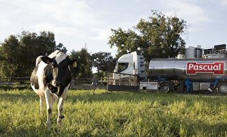 Pascual | Calidad Pascual