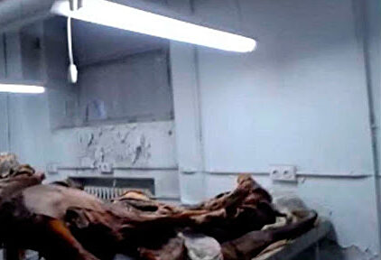 Cadáveres del sotano de la Facultad de Medicina de la Universidad Complutense de Madrid. |  Cordon Press