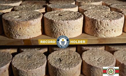 Queso Cabrales |  Dop Cabrales