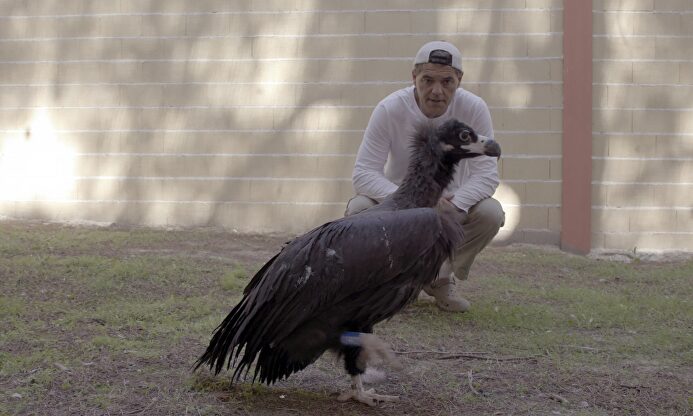 Frank Cuesta |  DMAX