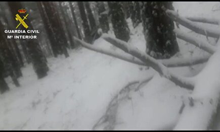 Perdidos en la sierra o paseando el peluche: las formas más estúpidas de romper el estado de alarma