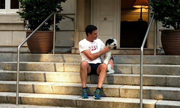 Sánchez, en sus primeros días en Moncloa |  Twitter