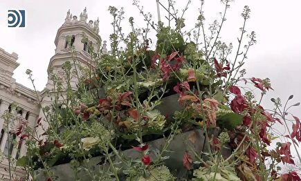 El Ayuntamieno de Madrid agradece el civismo de los ciudadanos en la fachada del Palacio de Cibeles