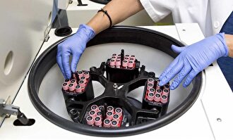 Madrid extraerá plasma hiperinmune para luchar contráelos coronavirus | Europa Press