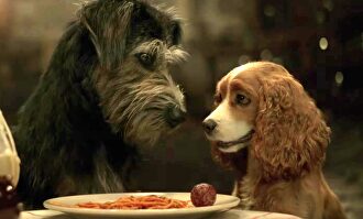 La Dama y el Vagabundo | Disney Plus