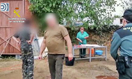 Sorprenden a un grupo de personas haciendo una matanza ilegal saltándose el estado de alarma