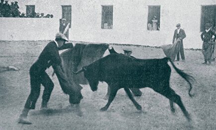 Gallito (de pie) y Guerrita (de rodillas) toreando al alimón en la ganadería de Antonio Guerra. | Palmas y Pitos