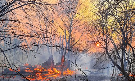 Incendio forestal en los alrededores de Volodymyrivka, en la zona de exclusión de Chernóbil. | EFE