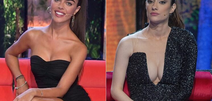 Violeta contra Adara | Cordon Press