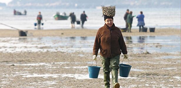 Mariscadoras en la playa de Lourido (Pontevedra) | Xunta de Galicia