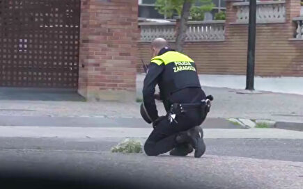 Sobrecogedor homenaje de la policía de Zaragoza a los vecinos fallecidos por coronavirus