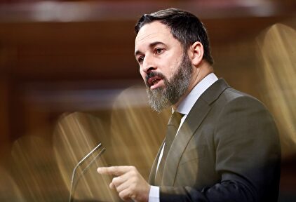 Abascal, en el Congreso. | EFE