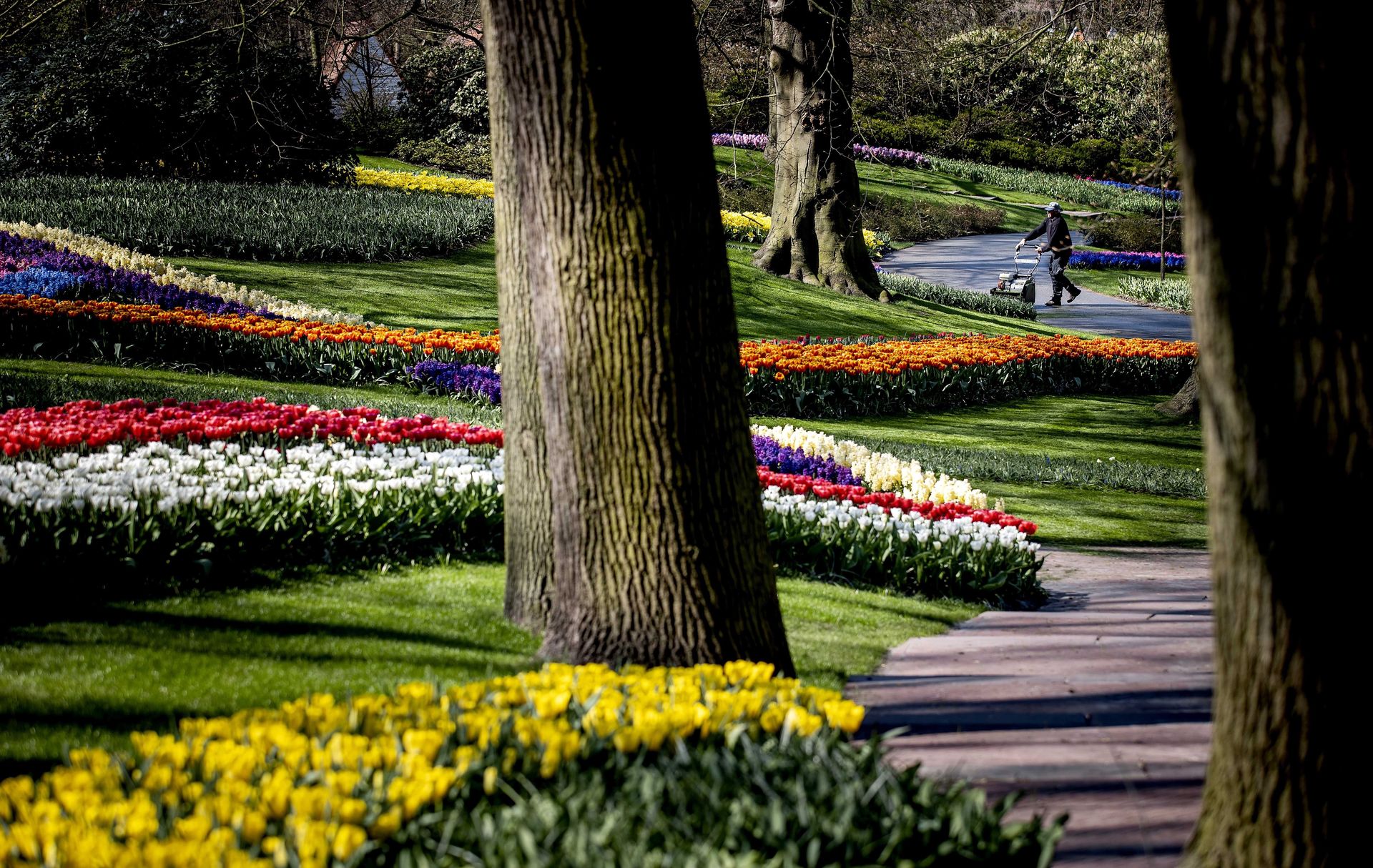 Así es el parque de tulipanes más importante del mundo que no abrirá este  año por el coronavirus - Chic