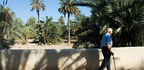 Un jubilado pasea por Elche | Alamy