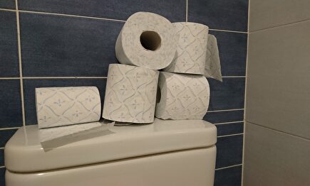 Fiebre del papel higiénico | Europa Press