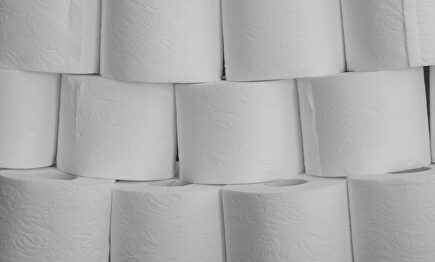 Fiebre del papel higiénico | Pixabay/CC/Mylene2401