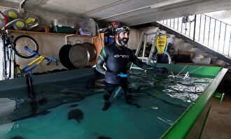 Isidro Benabent, triatleta valenciano | EFE