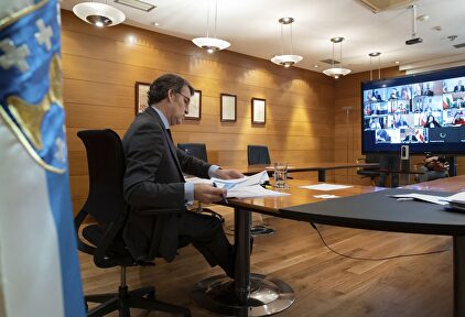 Feijóo en un momento de la videoconferencia de Sánchez con los presidentes autonómicos. | EFE