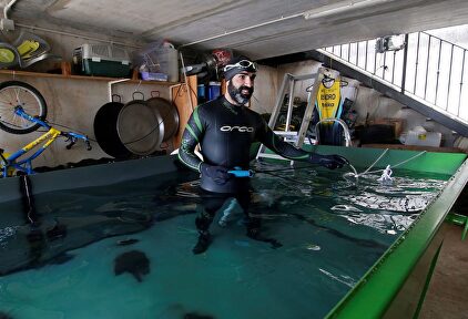 Isidro Benabent, triatleta valenciano | EFE