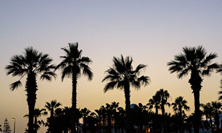 Verano en una playa de Almería. | David Alonso Rincón