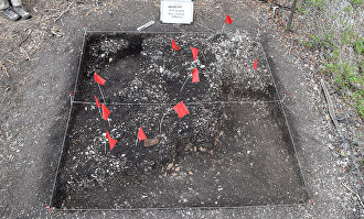 Fuerte San Antón de Carlos, en Florida | Historical Archaeology