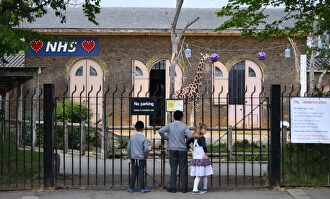 Niños ven una jirafa en el zoo de Londres. | EFE